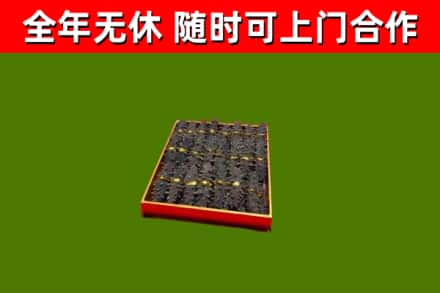 遂宁回收海参